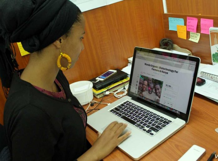talent hoizon multimedia online business in nigeria]